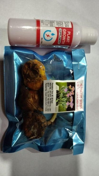 Rare Medusa Orchid with Plant Growth Supplement (Pack of 4)